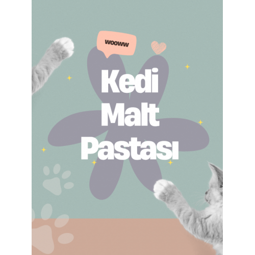 KEDİ MALT PASTASI 100 ML