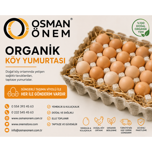 Köy Yumurtası (Organik)