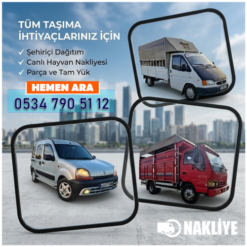 Hayvan Nakliyesi 